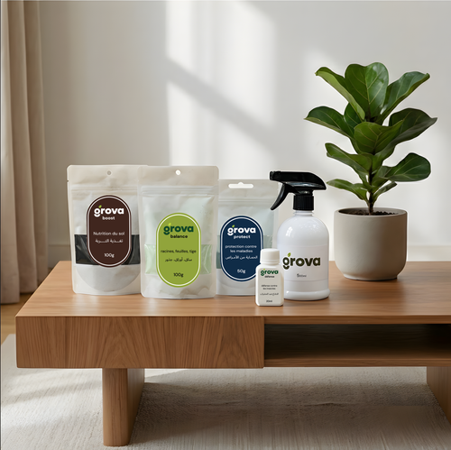 العناية بالنباتات المنزلية - grova